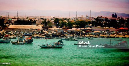 Informing Policy: Somalia’s Poverty Report as a Progress Catalyst