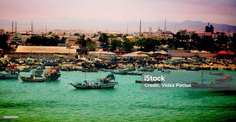 Informing Policy: Somalia’s Poverty Report as a Progress Catalyst
